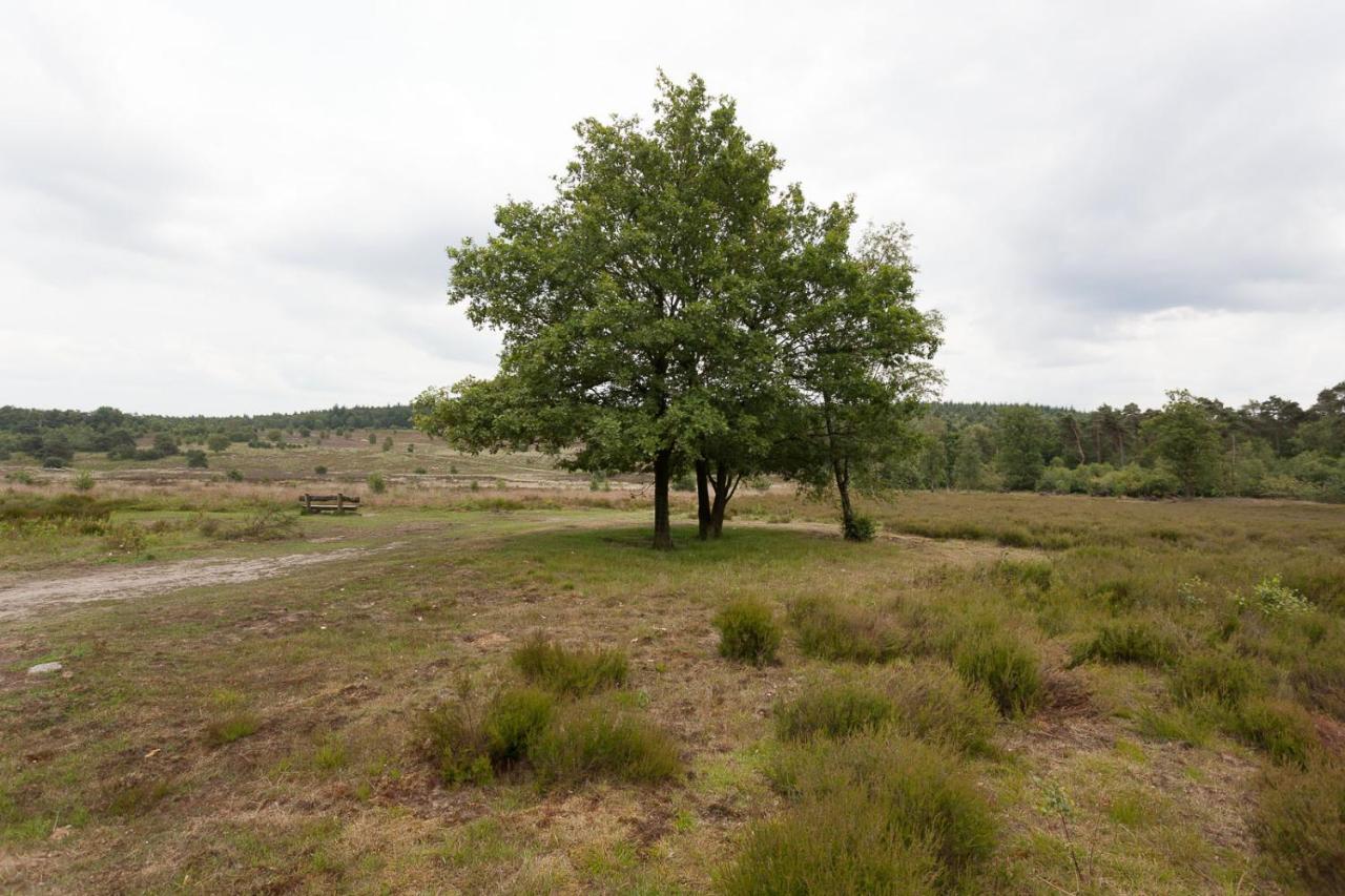 Chalet Hoenderloo Beuk Eksteriør bilde